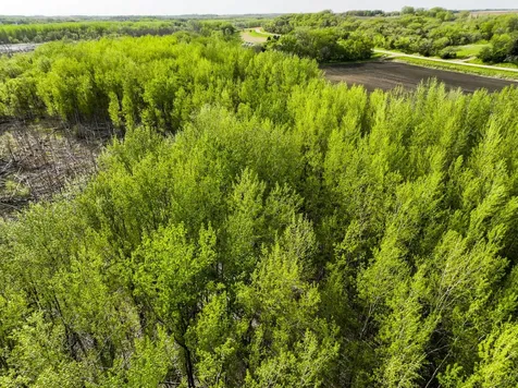 Tbd County Road 15 Montevideo MN 56265
