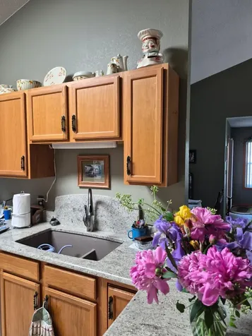 1503 Highview Trail Albert Lea MN 56007