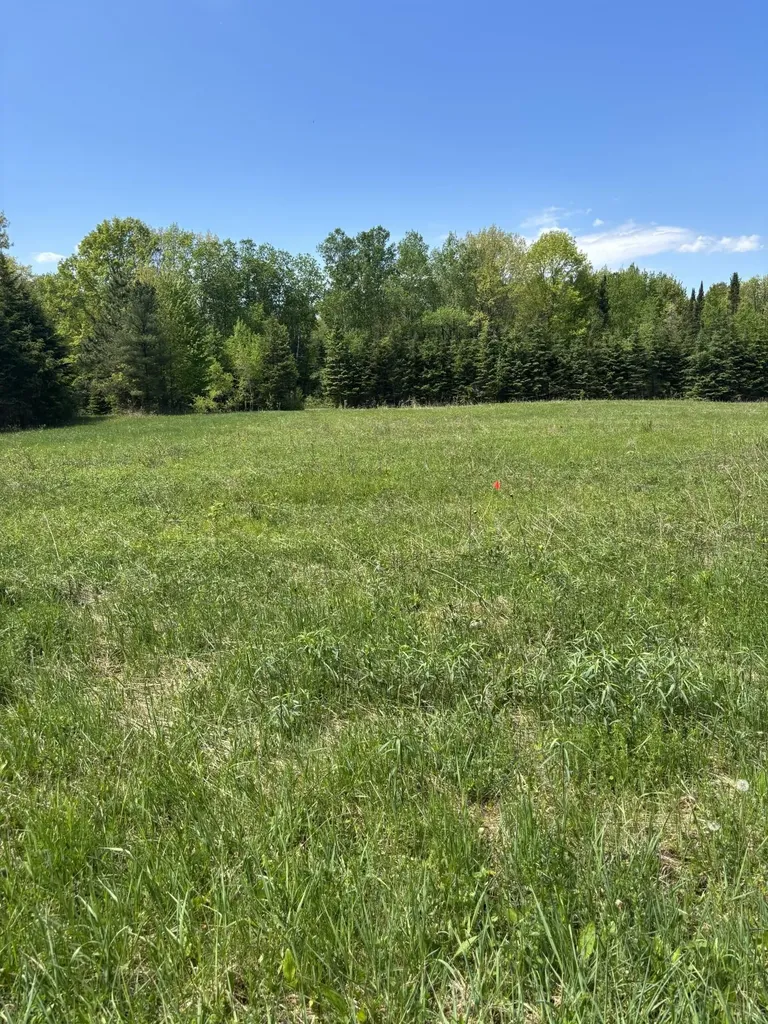 N3860 Kostka Road Ladysmith WI 54848