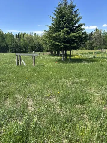 N3860 Kostka Road Ladysmith WI 54848
