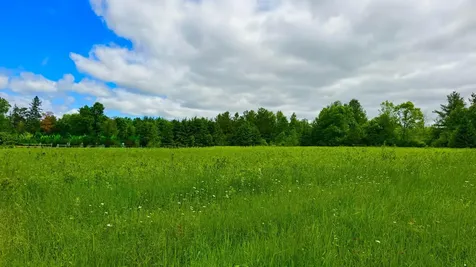 N3860 Kostka Road Ladysmith WI 54848
