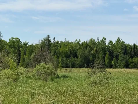 42330 Rutabaga Road Askov MN 55704