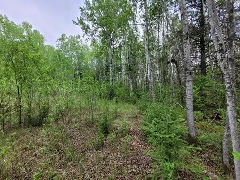 68232 County Road 547 Cook MN 55723