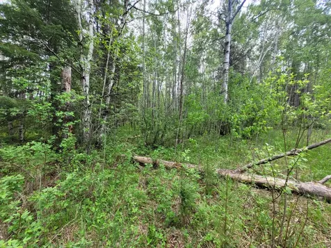 68232 County Road 547 Cook MN 55723