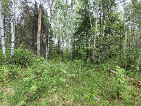 68232 County Road 547 Cook MN 55723