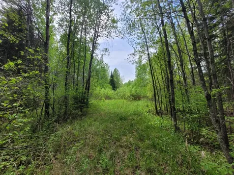 68232 County Road 547 Cook MN 55723
