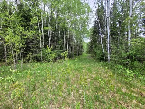 68232 County Road 547 Cook MN 55723