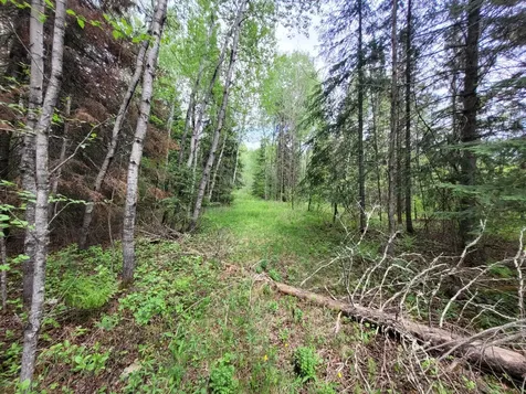 68232 County Road 547 Cook MN 55723