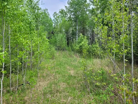 68232 County Road 547 Cook MN 55723