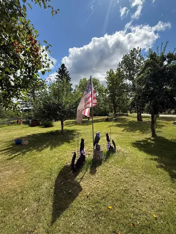 13658 County Road 100 Wadena MN 56482