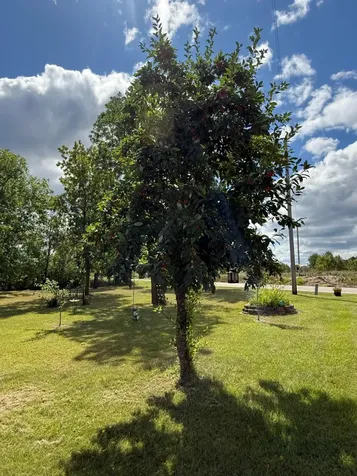 13658 County Road 100 Wadena MN 56482