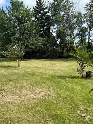 13658 County Road 100 Wadena MN 56482