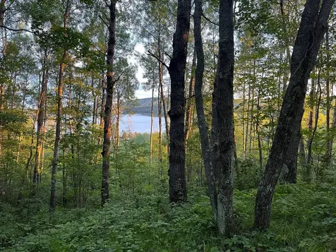 6661 Voyageurs Trail Biwabik MN 55705