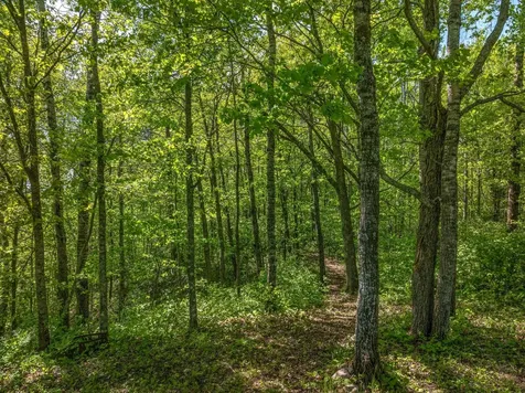 6661 Voyageurs Trail Biwabik MN 55705