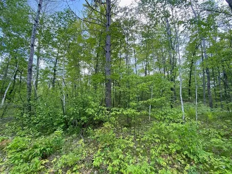 Lot 7 Hustvet Drive Minong WI 54888