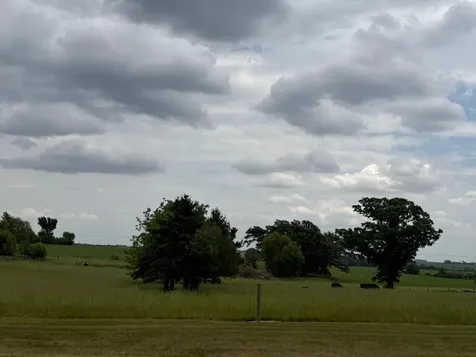704 Country Estate Court SE Stewartville MN 55976