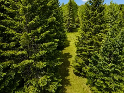 45624 County Road 172 Deer River MN 56636