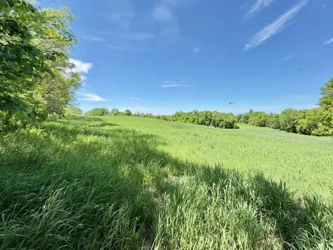44662 County Highway 31 Pelican Rapids MN 56572