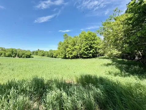 44662 County Highway 31 Pelican Rapids MN 56572