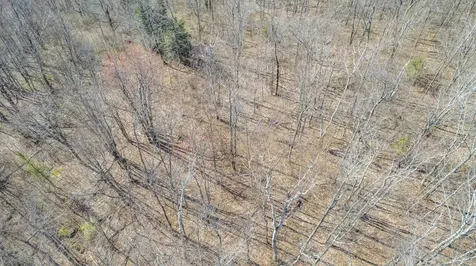 Tbd Mountain Home Trail Little Marais MN 55614
