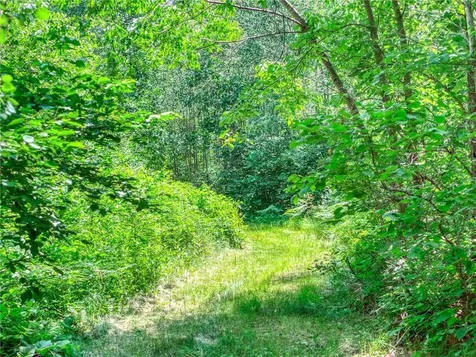 10719 Lumberjack Road NW Puposky MN 56667
