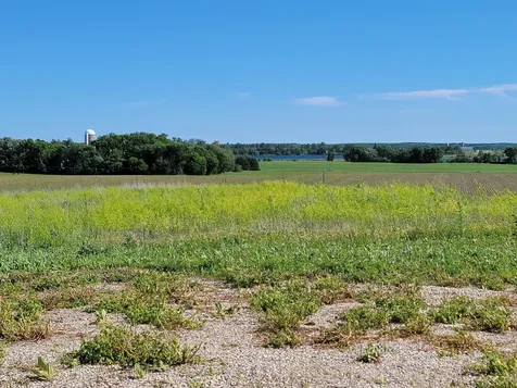 37791 423rd Street Dent MN 56528