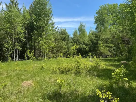 Tbd County Road 4 Cromwell MN 55726