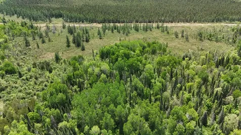 Tbd County Road 4 Cromwell MN 55726