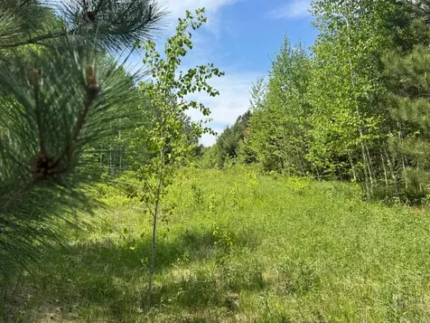 Tbd County Road 4 Cromwell MN 55726