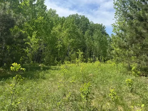 Tbd County Road 4 Cromwell MN 55726