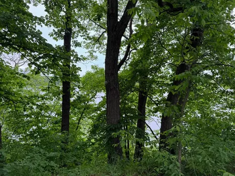 14314 Stocking Lake Road Menahga MN 56464