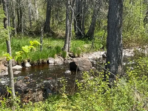 Tbd Crown Creek Spur Road Finland MN 55603
