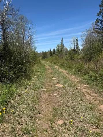 Tbd Crown Creek Spur Road Finland MN 55603