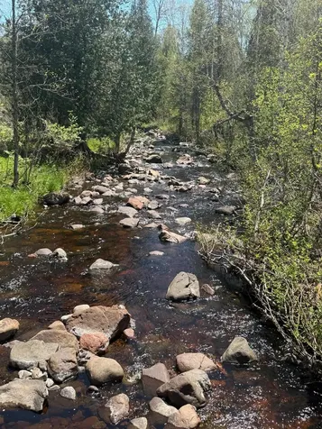 Tbd Crown Creek Spur Road Finland MN 55603