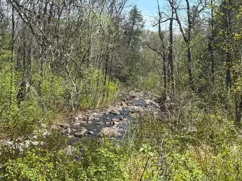 Tbd Crown Creek Spur Road Finland MN 55603