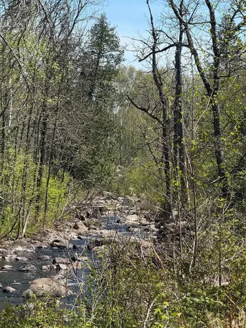 Tbd Crown Creek Spur Road Finland MN 55603