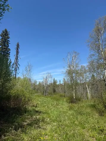 Tbd Crown Creek Spur Road Finland MN 55603