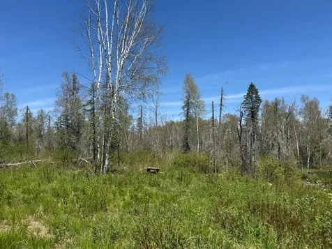 Tbd Crown Creek Spur Road Finland MN 55603