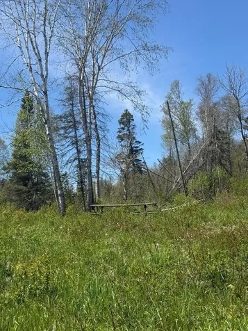 Tbd Crown Creek Spur Road Finland MN 55603