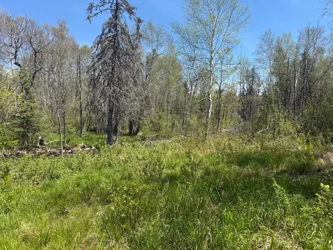 Tbd Crown Creek Spur Road Finland MN 55603