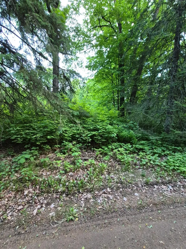 48458 197th Avenue Mcgregor MN 55760