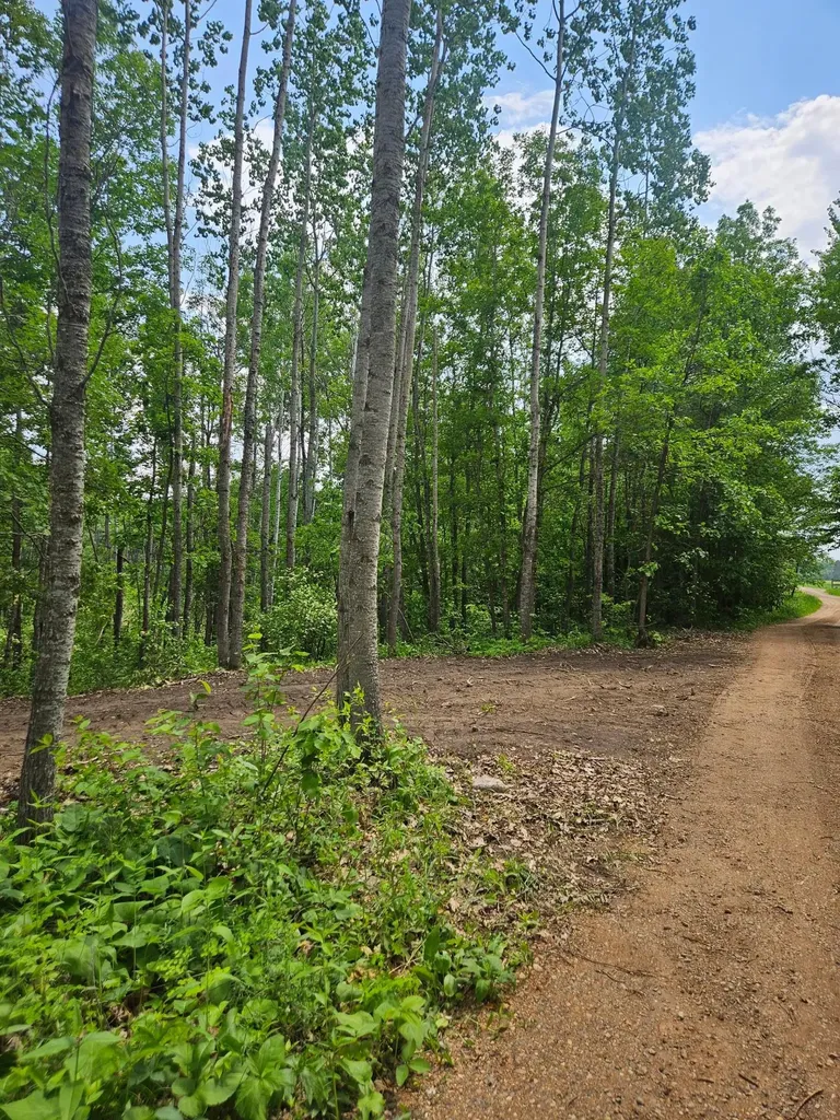 Parcel E Rogue Way Ironton MN 56455