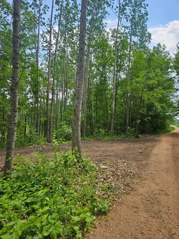 Parcel E Rogue Way Ironton MN 56455