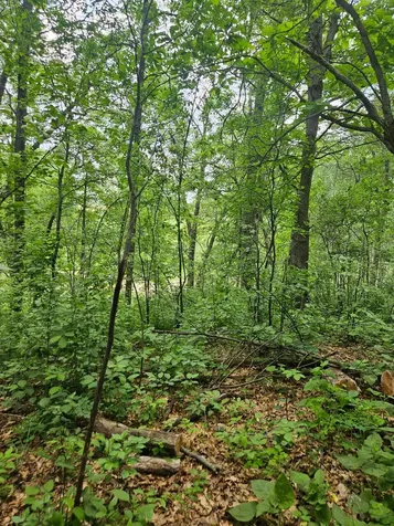 Parcel E Rogue Way Ironton MN 56455