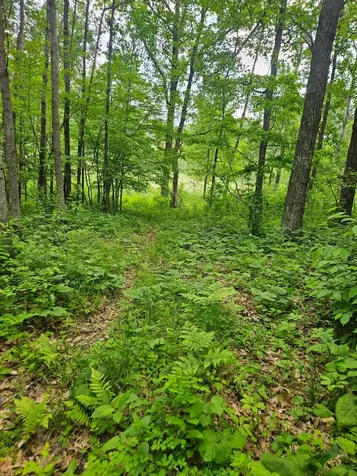 Parcel E Rogue Way Ironton MN 56455