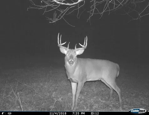 Tbd 140th Street Frazee MN 56544
