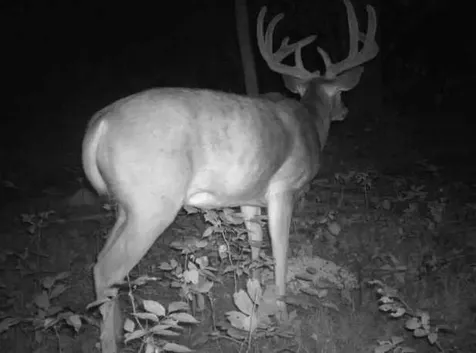 Tbd 140th Street Frazee MN 56544