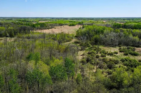 Tbd 140th Street Frazee MN 56544