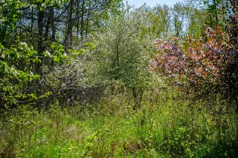 Tbd 140th Street Frazee MN 56544