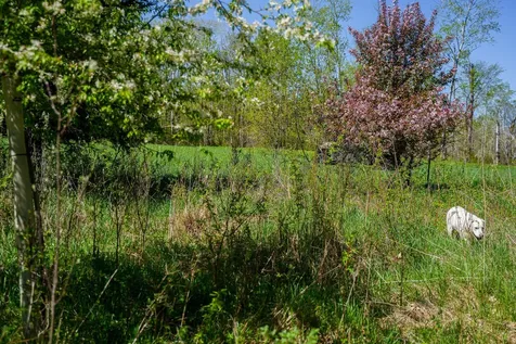 Tbd 140th Street Frazee MN 56544